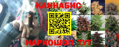СК Ирбит