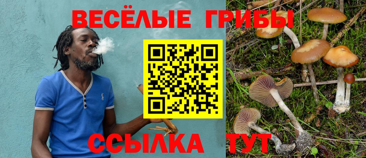 Псилоцибиновые грибы MAGIC MUSHROOMS  Вход с VPN  Галлюциногенные грибы Cubensis  Кувандык 